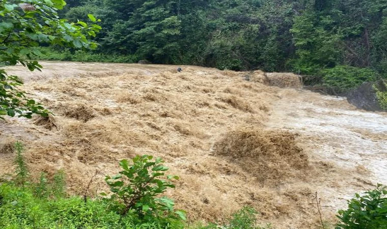 Rize’de sağanak; derelerin su seviyesi yükseldi