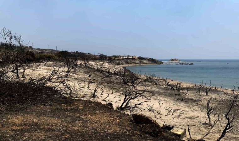 Rodostaki orman yangını 6 gündür devam ediyor: 19 bin kişi tahliye edildi