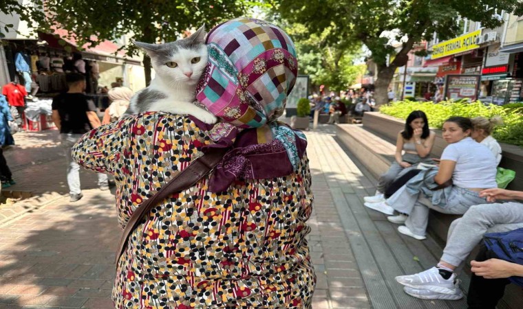 Sahibinin kucağında Eskişehiri gezen Boncuk ilgi odağı