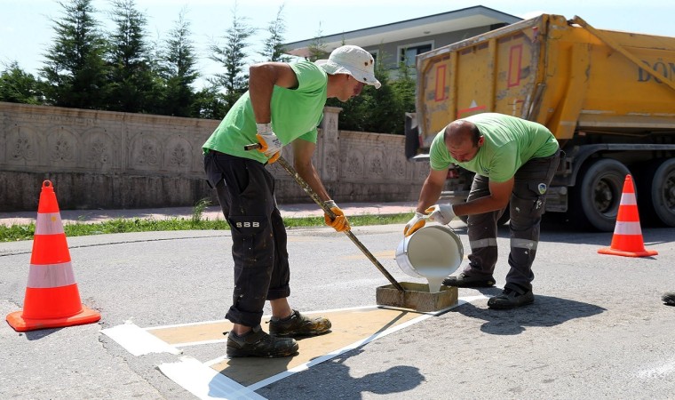 Sakarya Büyükşehir yaya geçitleri ve bordürleri yeniliyor