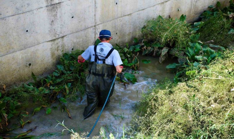 Samsun Büyükşehirden 22 bin 500 noktada vektörlerle mücadele