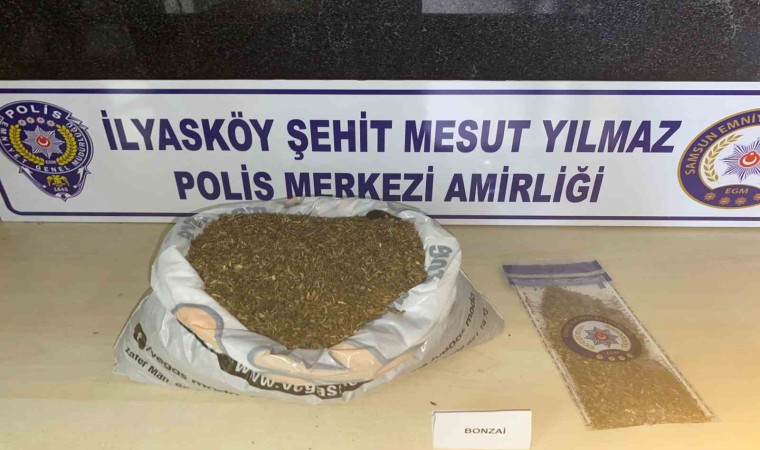 Samsunda 1 kilo 172 gram bonzai ele geçti: 1 gözaltı