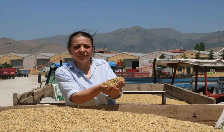 Sandıklıda arpa üreticileri alım fiyatlarından dertli