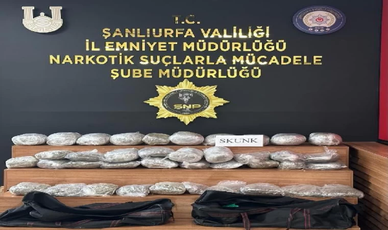 Şanlıurfa’da, 32 kilo 600 gram skunk ele geçirildi