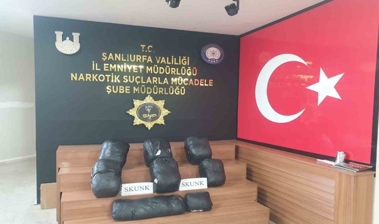 Şanlıurfada 32 kilo 660 gram skunk ele geçirildi: 4 gözaltı