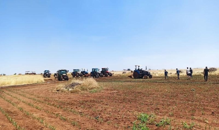 Şanlıurfada çıkan yangına müdahale için kullanılan traktör, alevlerin arasında kalarak yandı