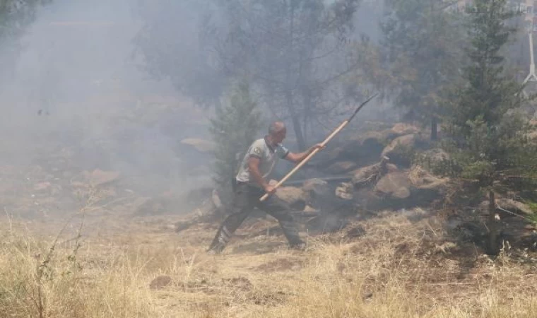 Şanlıurfa’da orman yangınına TOMA’lar müdahale etti