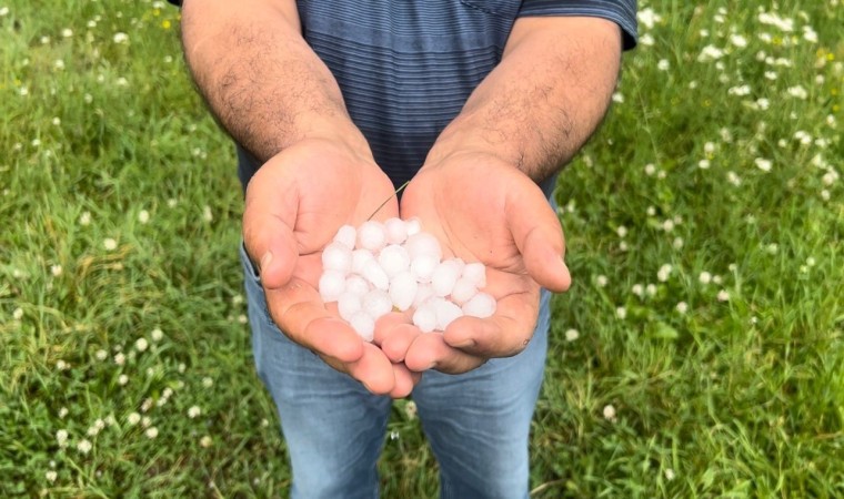 Sarıkamışı dolu vurdu