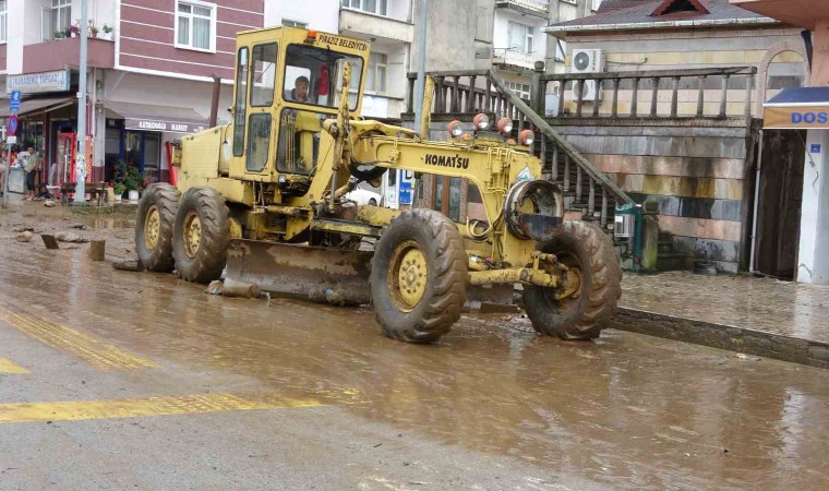 Selin vurduğu Piraziz ilçesinde temizlik çalışmaları başladı