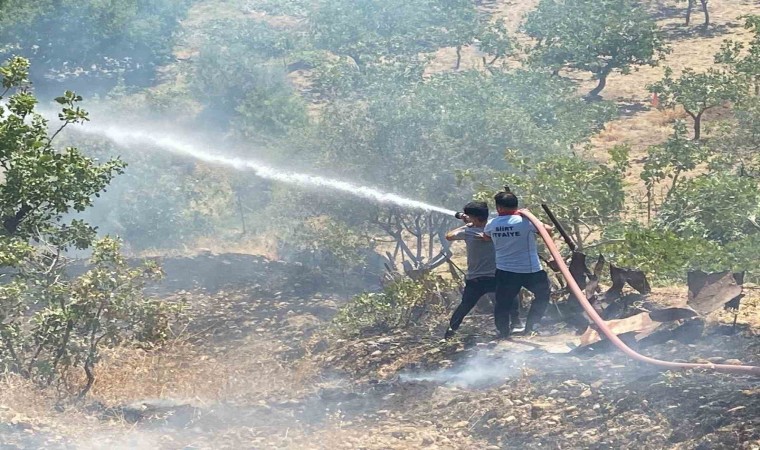 Siirtte fıstık bahçesinde çıkan yangın söndürüldü