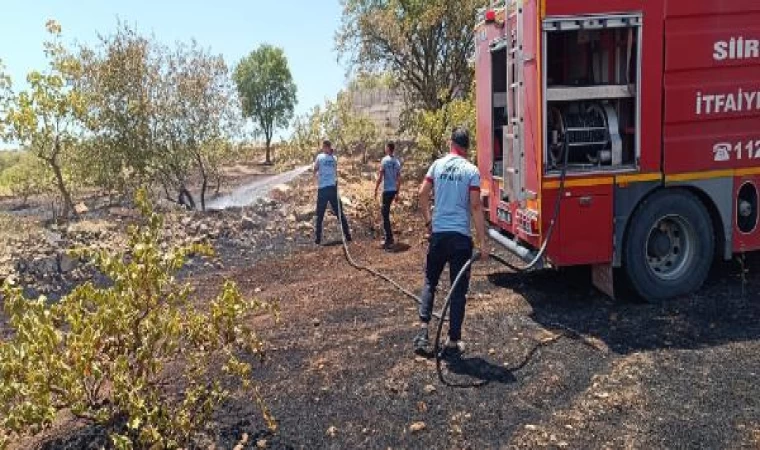 Siirt’te fıstık bahçesinde yangın; 50 ağaç yandı