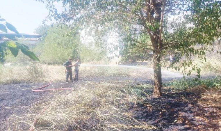 Siirt’teki mezarlıkta yangın; ağaçlar zarar gördü