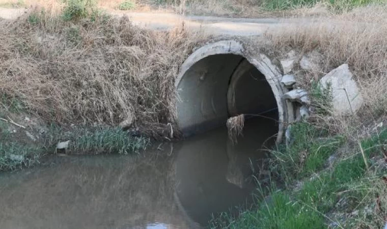 Silivri Elmalık Deresi’nde kötü koku ve sinek şikayeti 