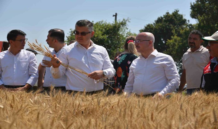 Sındırgıda yerli üretim ile alınan verim yüzleri güldürdü