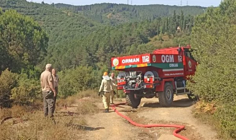 Sultangazi Kent Ormanı’nda yangın