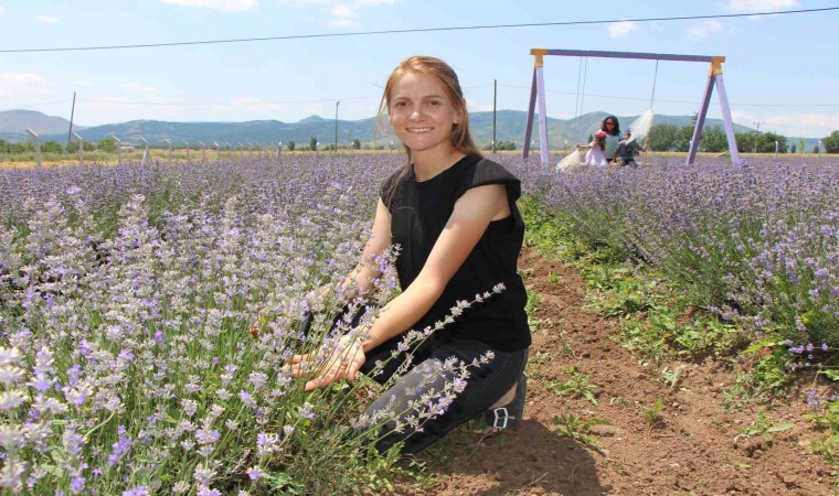 ‘Süpürge mi dikiyorsun? diyenlere inat lavanta yetiştirdi