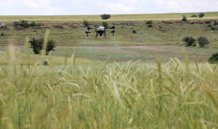 Talasta drone ile ilaçlama devri