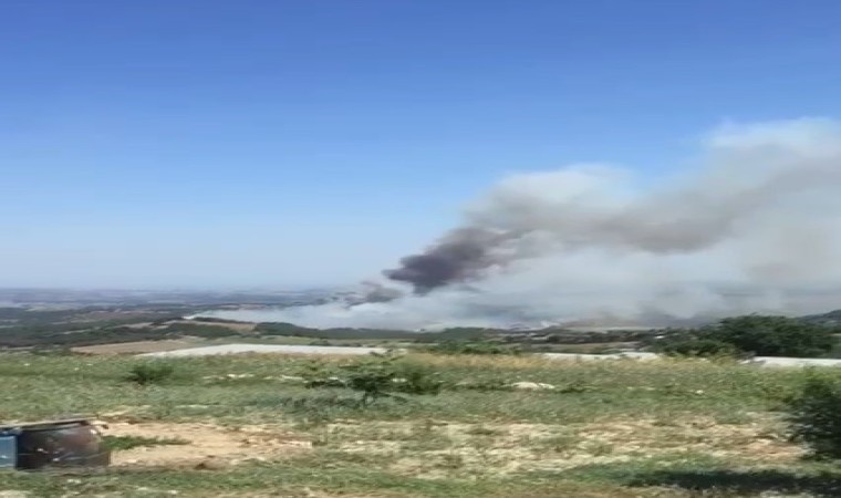 Tarsusta çıkan orman yangını kontrol altına alındı