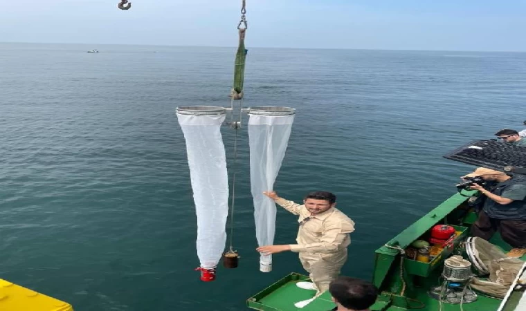 Tavşan Adası’ndaki biyoçeşitlilik değişimine yakın takip