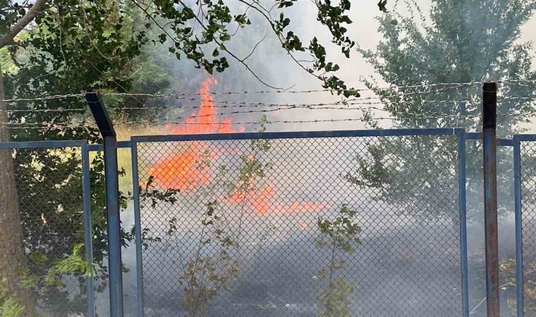 Tekirdağda askeri bölgede ağaçlık alanda yangın