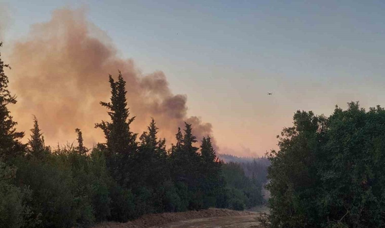 Tekirdağdaki yangına helikopter desteği ile müdahale sürüyor