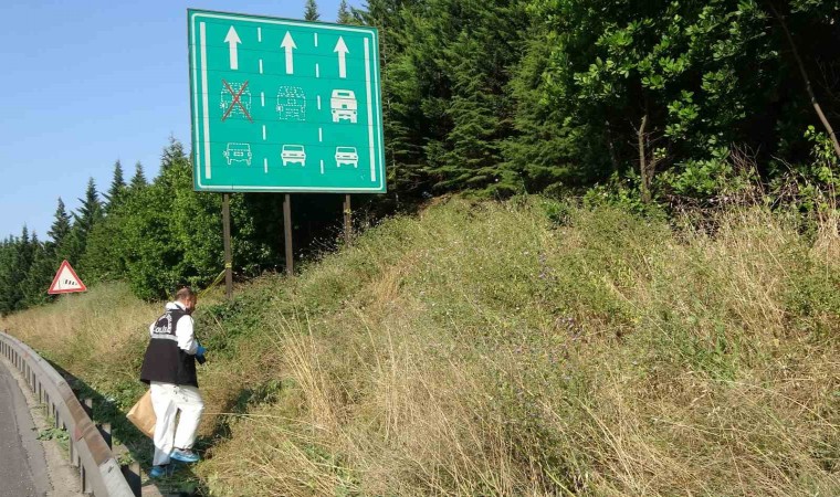 Tem Otoyolunun Kocaeli geçişinde yeşillik alanda çürümüş ceset bulundu