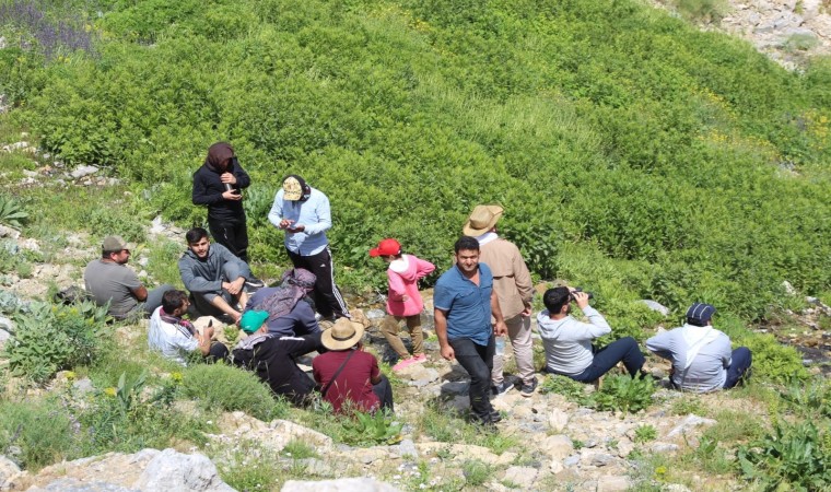 Temmuz sıcağında Mereto Dağında kar yiyerek serinlediler