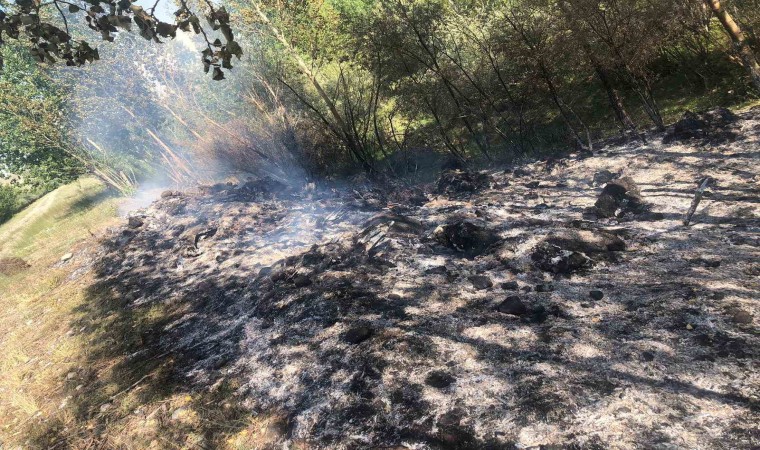 Tercanda örtü yangını büyümeden söndürüldü