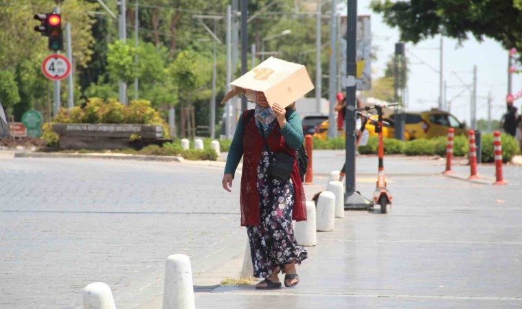 Termometreler 45 dereceyi gördü, sahil ıssızlaştı, şemsiyesi olmayan kartonla sokağa çıktı