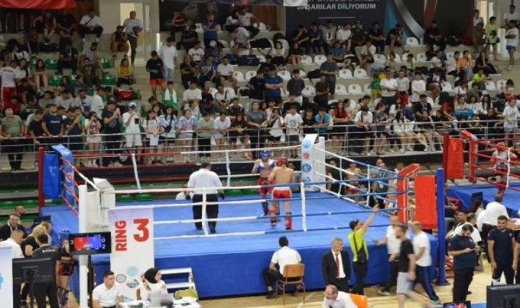 Türkiye Kick Boks Şampiyonası Mardin’de başladı