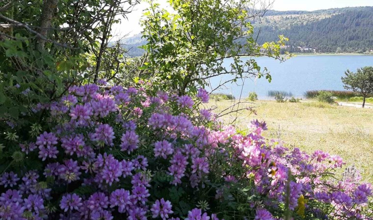 Türkiye sıcaktan kavruluyor, Bolu en soğuk il oldu