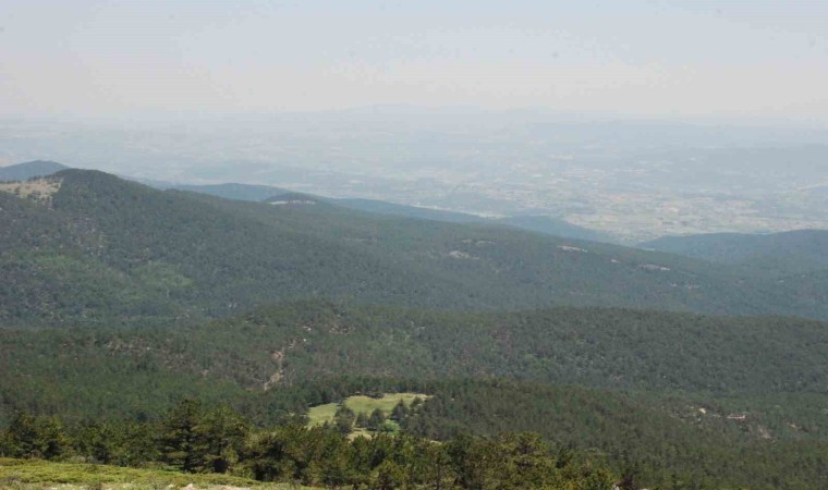 Uşakta ormanlık alanlara girişler kısıtlandı