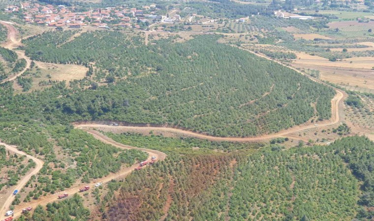 Valilik uyardı: Manisada sıcak havayla birlikte orman yangın riski de artacak