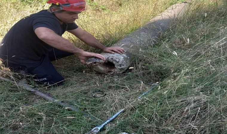 Yalovada boru içinde mahsur kalan kaplumbağa kurtarıldı