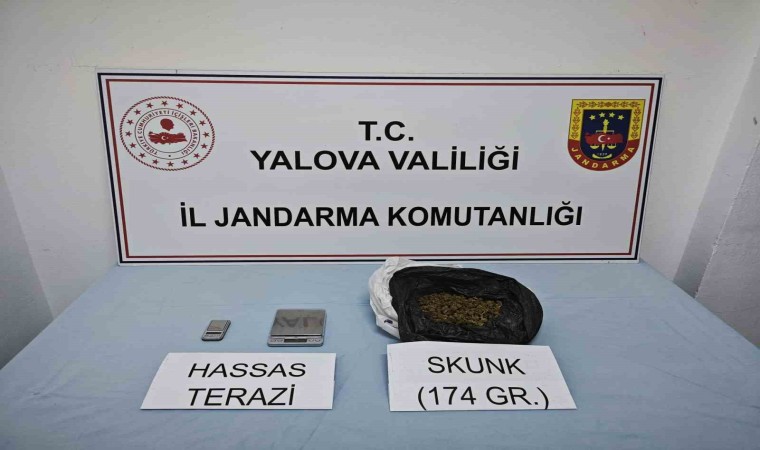 Yalovada uyuşturucu operasyonu: 1 gözaltı