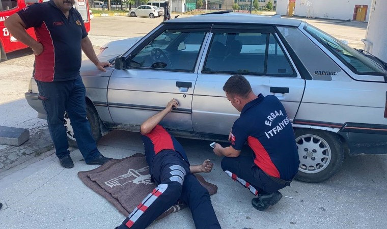 Yaramaz kedi itfaiye ekiplerini harekete geçirdi, yakalamak hiç de kolay olmadı