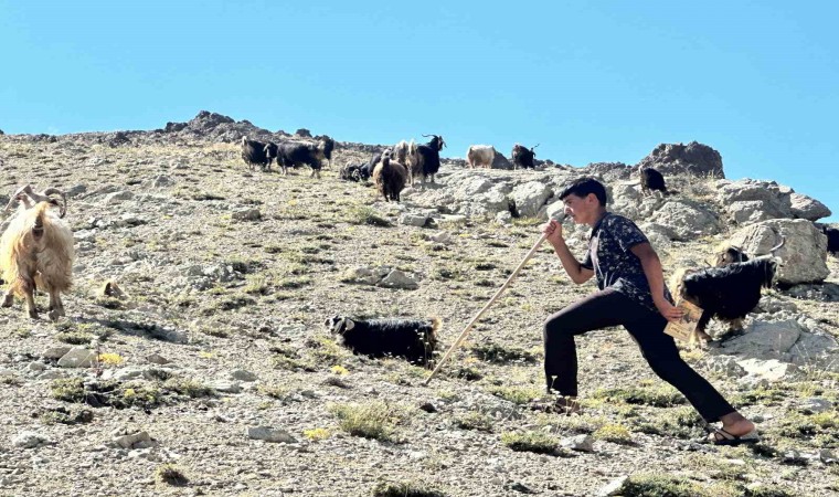 Yaylada çobanlık yapan ve LGSde Türkiye ikincisi olan Muhammetin kazandığı lise belli oldu