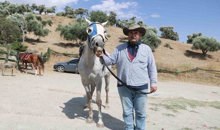 Yetiştirecek alanı olmadığı için atlarını satılığa çıkardı