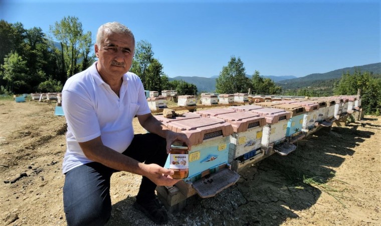 36 yıllık ilçenin ilk coğrafi işaretli ürünü ‘Yenice Ihlamur Balı oldu