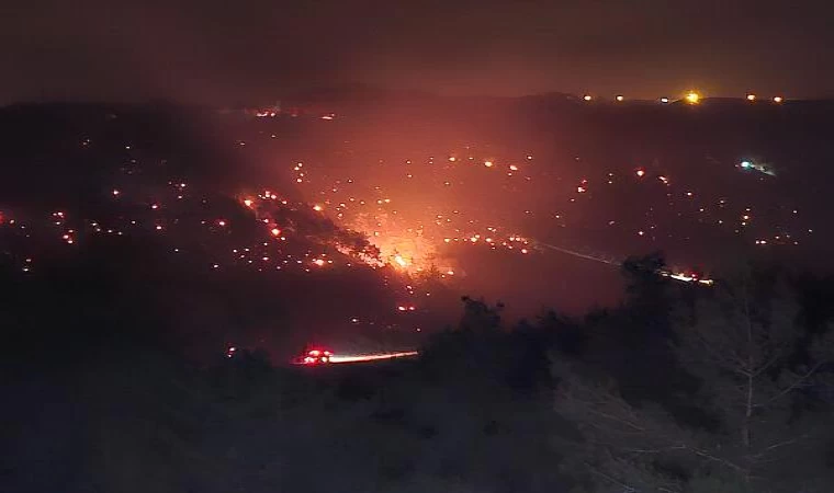 Adana’da orman yangını (2)