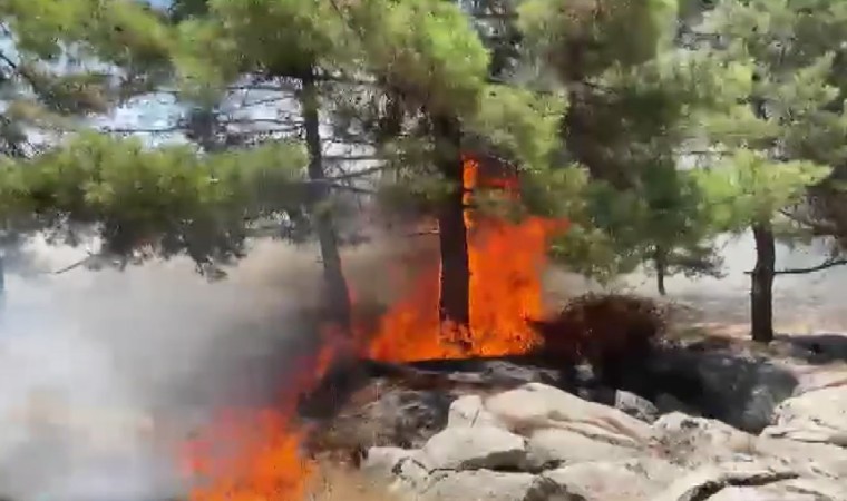 Adıyamanda orman yangını