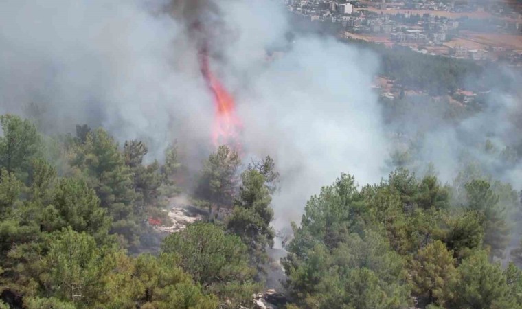 Adıyamandaki orman yangını havadan görüntülendi