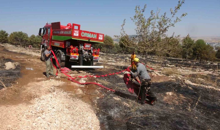 Adıyamandaki orman yangını söndürüldü