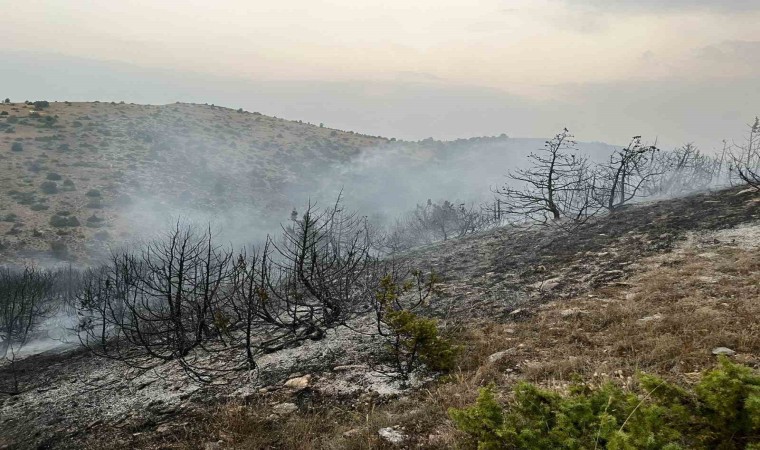 Afyonkarahisarda orman yangını