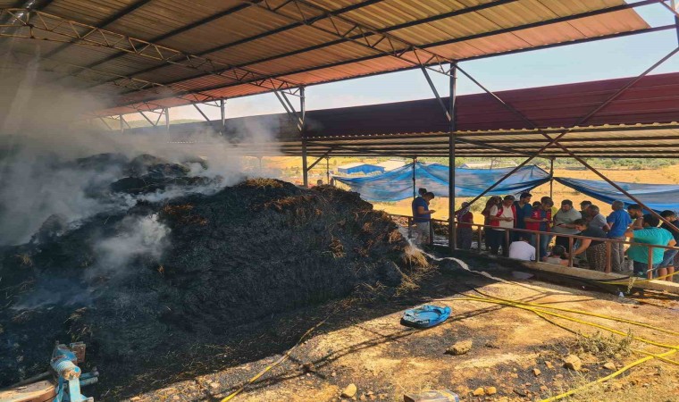 Ahır yangınında zarar büyük