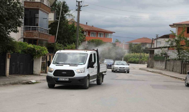 Akyazıda ilaçlama çalışmaları sürüyor