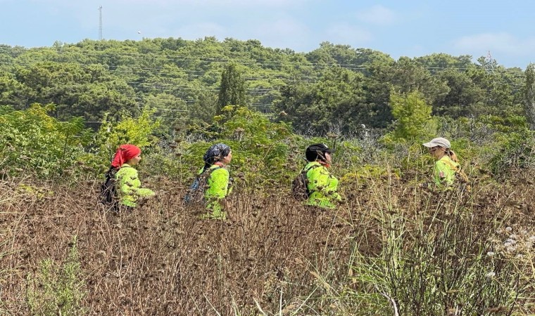 Alanyada kayıp Alman uyruklu kadın turist havadan karadan aranıyor