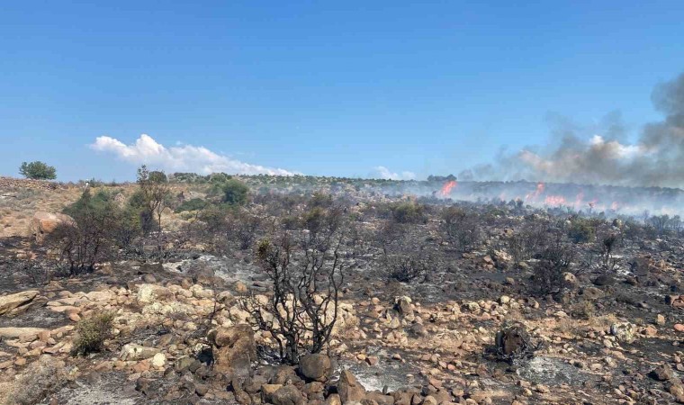 Aliağada makilik yangını havadan ve karadan müdahale ile kontrol altına alındı