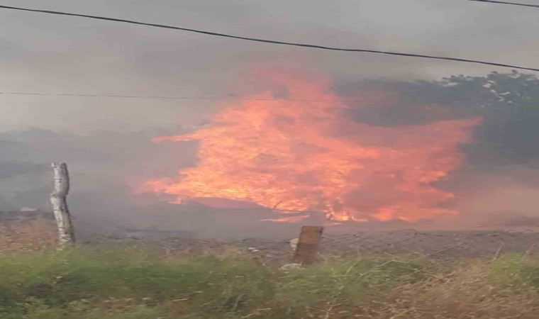 Ankarada kırsal alanda korkutan yangın