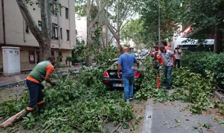 Ankara’da kuvvetli rüzgar; ağaçlar devrildi, çatılar uçtu